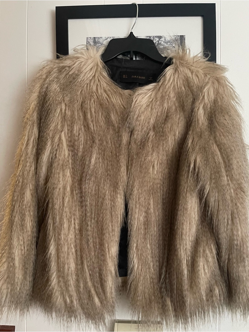 Zara Plush Faux Fur Jacket in Taupe